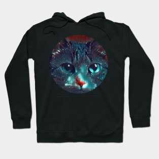 Daring mycat, revolution for cats Hoodie